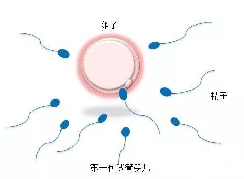 关于供卵代怀生男宝代生包成功
